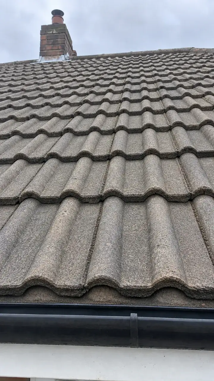 Roof cleaning, after