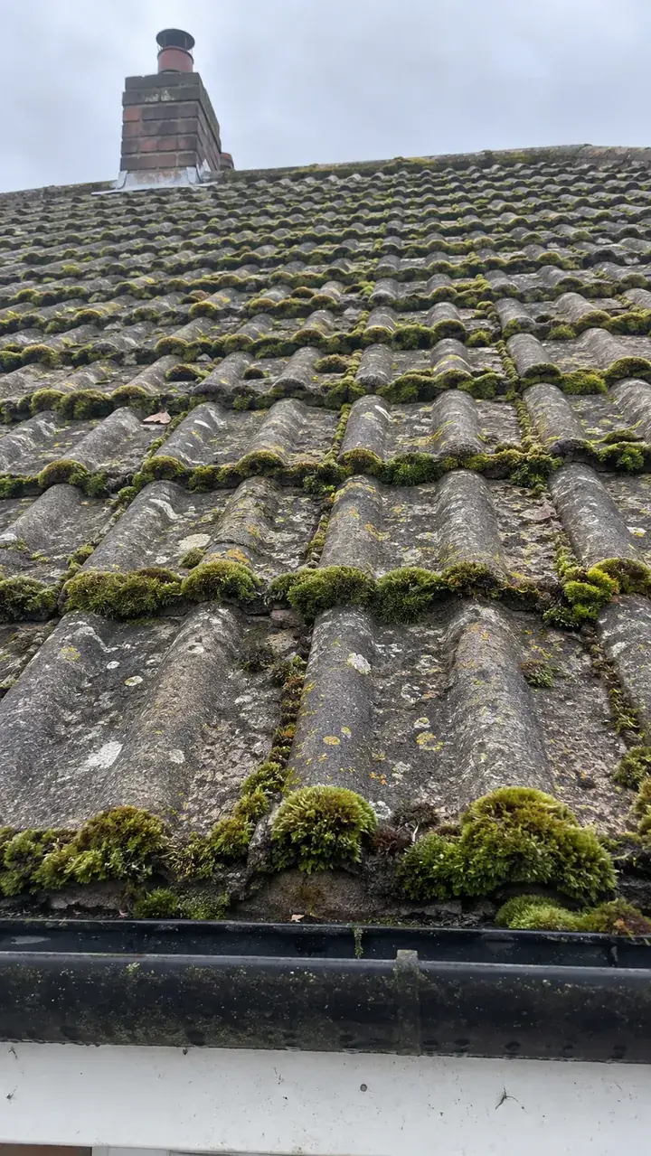 Roof cleaning, before