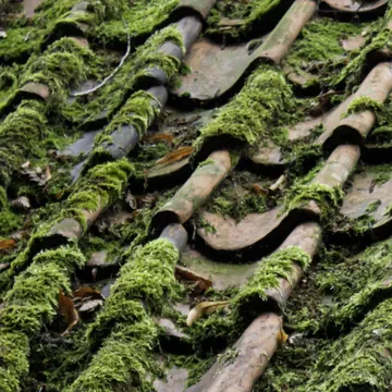 Roof moss and roof cleaning in Timperley