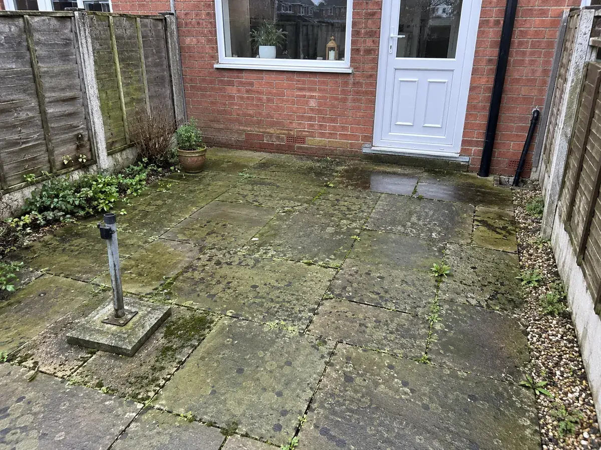 Patio cleaning, before